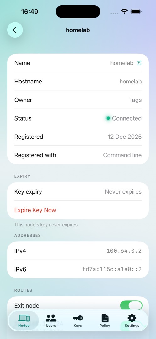 One node, with its key expiry, addresses and routes