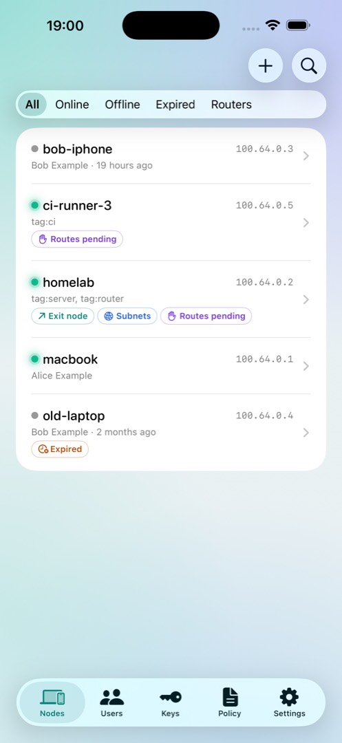 The nodes list, each machine with its address, owner and routes